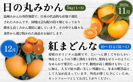 ＜2025年11月発送開始 えひめかんきつ定期便 全6回＞ 果物 フルーツ みかん ミカン 蜜柑 日の丸みかん 紅まどんな 伊予柑 いよかん デコポン せとか 河内晩柑 かわちばんかん 愛媛県観光物産