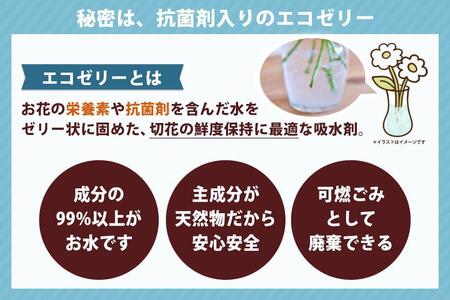 【水換え・花瓶のいらない花束】 そのままブーケ®　チェリーレッド　スタンディングブーケ