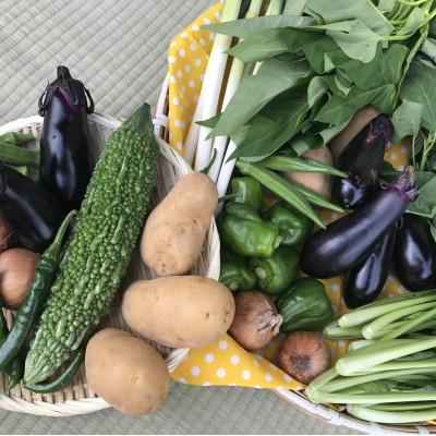 ふるさと納税 行方市 【発送月固定定期便】『身体が喜ぶ野菜』おまかせ10〜12品(上旬発送)全10回 |  | 02