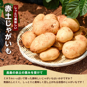 《先行受付:５月発送》長島町 いから島産 赤土 じゃがいも5kg 【高橋農園】takahashi-1495