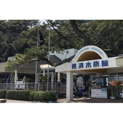 桂浜水族館　入館券【B03042】