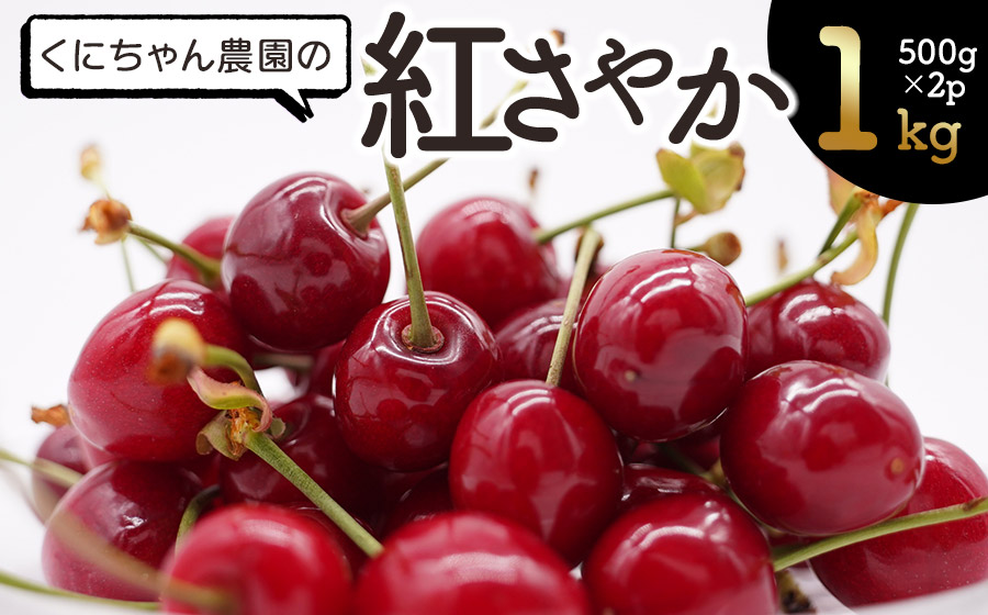 【令和8年産先行予約】くにちゃん農園のさくらんぼ「紅さやか」 バラ詰め1kg（500g×2パック）　K-856