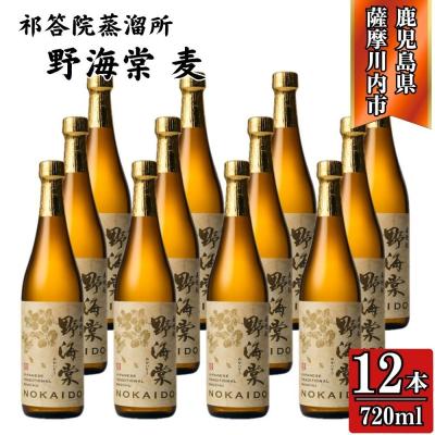 ふるさと納税 薩摩川内市 野海棠 麦焼酎 25度 720ml×12本 祁答院蒸溜所 GSR-506