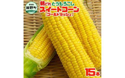 【四国一小さなまちのとうもろこし】★2025年6月上旬頃より発送開始予定★ とうもろこし スイートコーン ゴールドラッシュ 15本 数量限定 朝どれ 新鮮 甘い 野菜 産地直送 冷蔵 配送