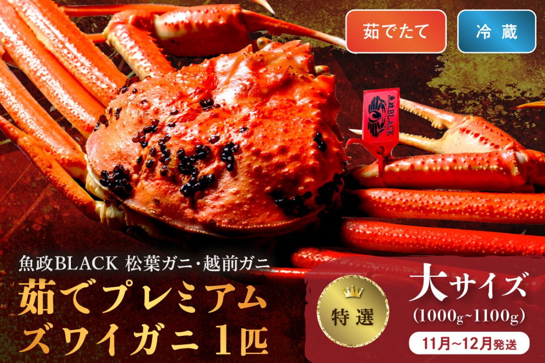 【蟹の匠 魚政】茹で　プレミアムズワイガニ 魚政BLACK（松葉ガニ・越前ガニ）特撰 特大サイズ（1200～1300g） 1匹(11月～12月発送)　UO01300
