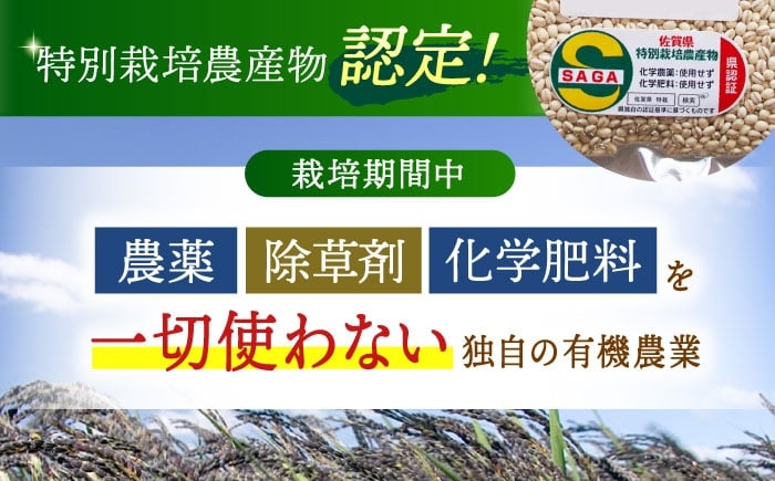 麦 雑穀 雑穀米 麦ごはん 1等麦 特別栽培農産物 佐賀 食物繊維 胚芽押麦 500g 真空パック 真空