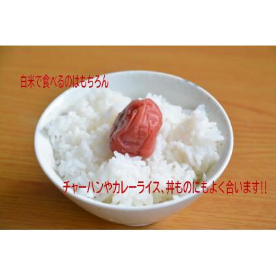 ふるさと納税 村上市 【新米受付・令和8年産米】ゆきん子舞5kg 　新潟県岩船産 食味鑑定士謹製 一等米 1039015N |  | 01