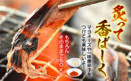 産地直送！ ホタルイカ 素干し 約250g（50g × 5パック）網元漁師が厳選！ 便利な小分け袋 【福井県 おつまみ 冷蔵】 [e15-a017]