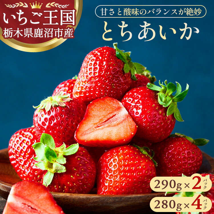 【ふるさと納税】【選べる内容量】鹿沼市産 とちあいか（290g×2パック/280g×4パック） | いちご イチゴ 苺 栃木県 果物 くだもの フルーツ とちあいか 新鮮 贈答 ギフト デザート スイーツ※離島への配送不可 ※2026年1月上旬～3月下旬頃に順次発送予定