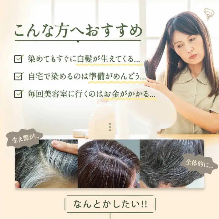【2本入】［白髪用］ 利尻カラーシャンプー 大容量サイズ 糸島市 / 株式会社ピュール ヘアケア シャンプー [AZA066]