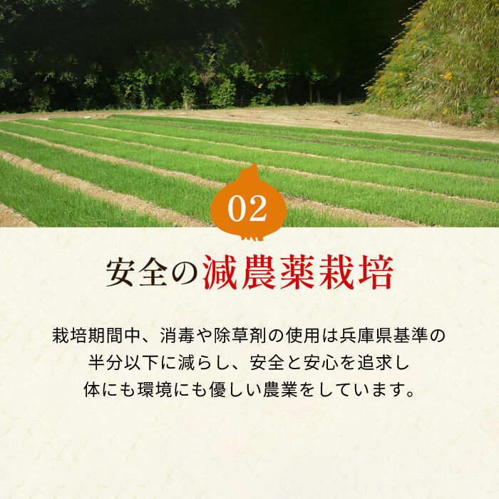 今井ファームの淡路島たまねぎ「かくし玉」20kg