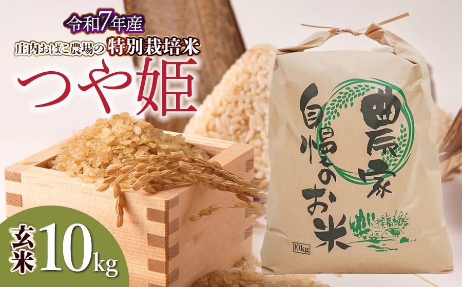 
            【令和7年産先行予約】庄内おばこ農場の特別栽培米 つや姫 玄米 10kg (10kg×1袋)　K-7111
          