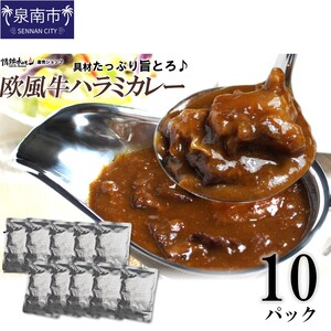 欧風牛ハラミカレー（200g×10パック）【配送不可地域：北海道・沖縄】【069D-012】