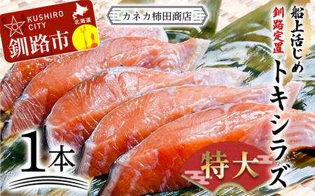 新もの 船上活じめ 釧路 定置 トキシラズ 1本 ふるさと納税 鮭 サケ 魚 F4F-8390