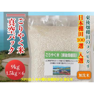 ふるさと納税 長門市 ごりやく米「東後畑棚田こしひかり」無洗米9kg(真空パック1.5kg×6個)(1352)