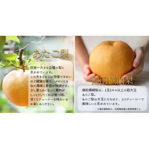 詰め合わせ 3㎏箱 赤秀 備前横綱梨1玉(1～1.5㎏玉)・備前乙女梨３～5玉 【先行予約 2026年11月中旬から順次発送】