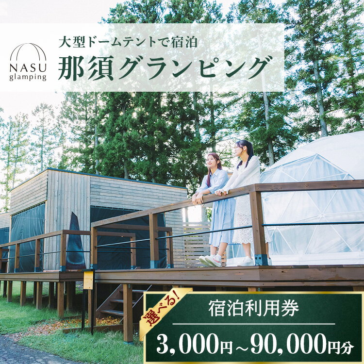 【ふるさと納税】【選べる金額】那須グランピング　宿泊利用券　3,000円分～90,000円分 ｜ 大型ドームテントと個別のトイレシャワー洗面台完備！豪華ディナー＆モーニング付！ 宿泊 旅行 チケット 宿泊券 旅行券 優待券 観光 国内旅行 グランピング 那須 栃木県 那須町