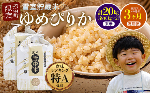 
            【定期便隔月~4ヶ月毎3回分】ゆめぴりか 玄米20kg(計60kg) 発送月が選べる 計3回お届け 特Aランク米 雪冷気 籾貯蔵 令和7年産 北海道 雪中米 6074-21var
          