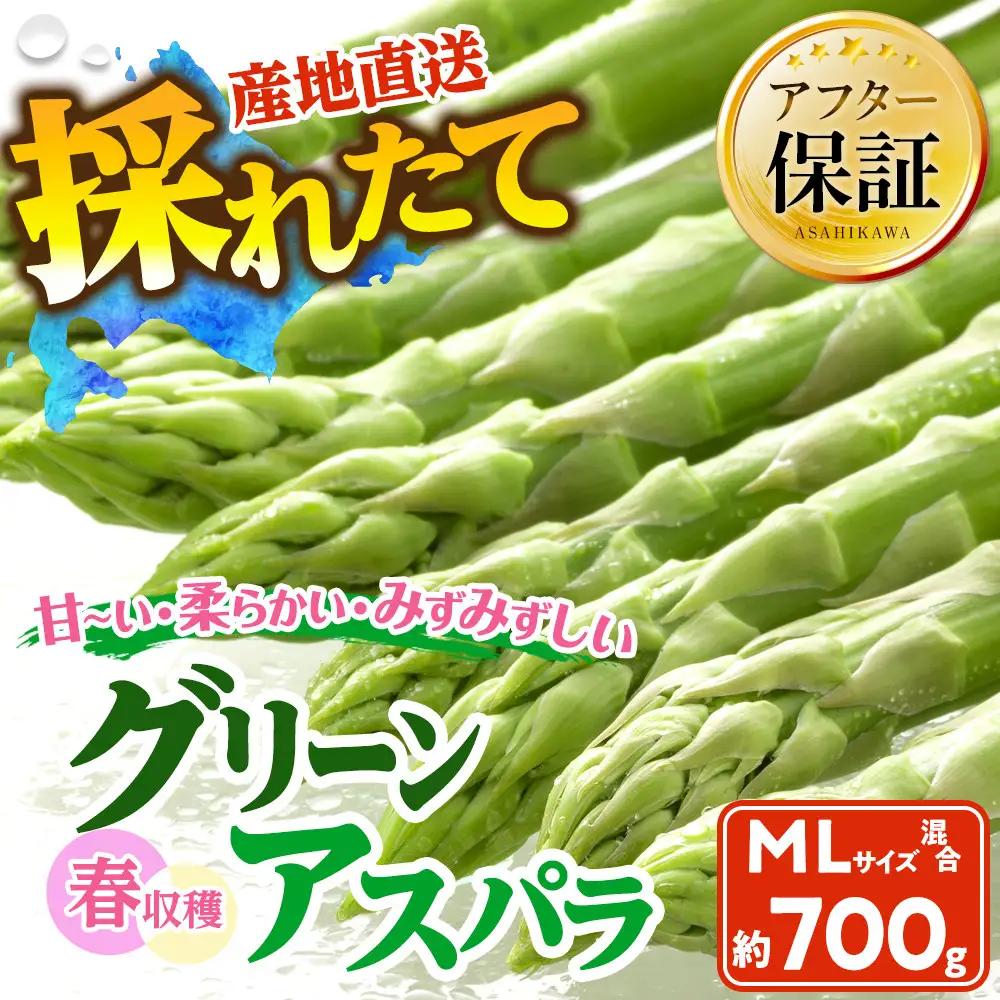春収穫グリーンアスパラ M-L混合700g(2027年6月上旬から順次発送開始)　アスパラ _05687