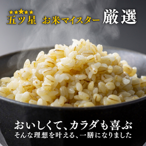 【定期便6ヶ月】金賞健康米 キラリモチ もち麦 パックご飯 120g×12個 食物繊維