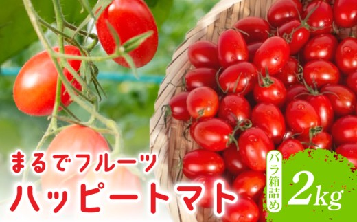 【先行予約】ハッピートマト2㎏