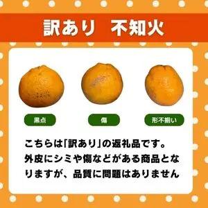 【不知火】3kg みかん職人武田屋直送不知火 訳あり