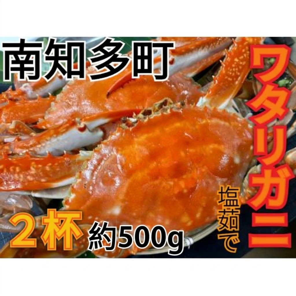 ワタリガニ 500g2杯 冷凍 ボイルワタリガニ 渡り蟹 海鮮 新鮮 魚介 海の幸 海産物 シーフードエム・エム 愛知県 南知多町