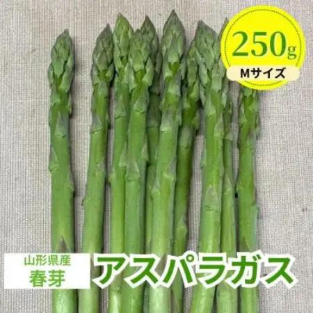【先行予約】令和9年 山形県川西町産 雪国春アスパラガス　Mサイズ　250g【配送不可地域：離島・北海道・沖縄県・信越、北陸・近畿・中国・四国・九州】【1764675】