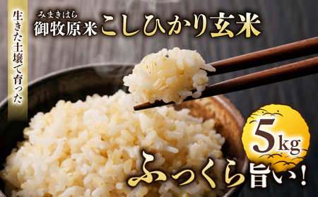 【先行受付2026年発送】長野県産！生きた土壌で育った御牧原米こしひかり 玄米（令和8年産）　5kg｜里山JAPAN　※2026年10月上旬以降に発送予定
