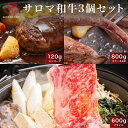 【ふるさと納税】サロマ和牛 ステーキ4枚800g・スライス600g・ハンバーグ120g×3個セット 【 ふるさと納税 人気 おすすめ ランキング 肉 牛肉 牛サーロイン 牛ヒレ 牛ステーキ 牛すき焼き 牛ハンバーグ 和牛 にく ギフト 贈答 おかず 北海道 佐呂間町 送料無料 】 SRMD007