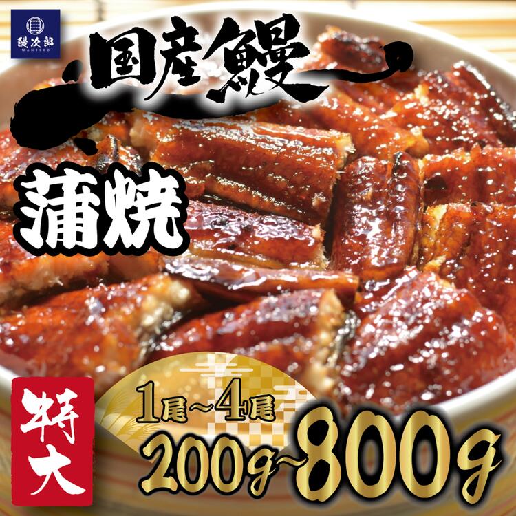 【ふるさと納税】＼内容量が選べる／ [特大] 国産 関西風地焼き うなぎ【蒲焼】 ｜ うなぎ 鰻 蒲焼き 冷凍鰻 活鰻 うな重 お取り寄せ 贈り物 ギフト 高級 うなぎの日 ウナギ unagi [4694-4695] ※離島への配送不可