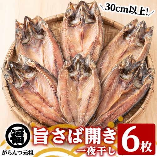 旨さば開き一夜干し(サイズ30cm以上×6枚)国産 サバ 鯖 干物 ひもの 魚介 乾物 おかず おつまみ【マルフク川畑水産】a-12-156