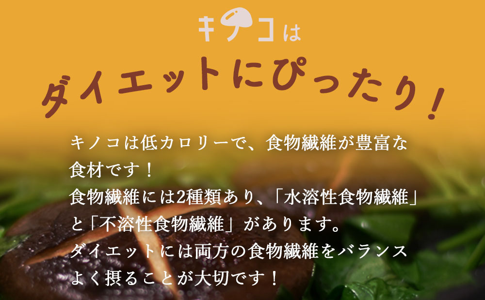 定期便 6回 隔月お届け 質で勝負！ 農薬不使用 雲仙きのこセット 4品目 [吉岡青果 長崎県 雲仙市 item1281] 