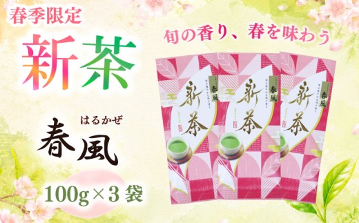 2026年度産 新茶  春風100g×3袋 お茶 静岡 新茶 濃旨 緑茶 深蒸し茶 深蒸し 茶 水出し緑茶 水出し 静岡茶 日本茶 飲料 飲み物 ドリンク 深むし茶 煎茶 セット お茶 茶 深蒸し 煎茶 旬 日常 牧之原産 甘い コク 便利 簡単 お手軽 茶葉 静岡茶 牧之原茶 プレゼント 贈答 贈答品 贈り物 産地直送 国産 日本 人気 和 日本 国産 名産品  静岡 県 牧之原市 相良物産