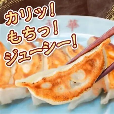 【佐野餃子(中)野菜餃子(1個27g)24個4人前】×2袋 【離島・沖縄県不可】_餃子 ぎょうざ 佐野餃子 野菜餃子 栃木県 佐野 おつまみ おかず 人気 おすすめ 送料無料 贈答 ギフト 冷凍_【配