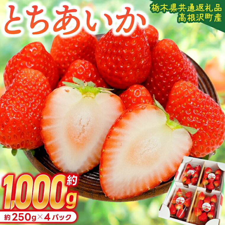 【ふるさと納税】【順次発送】栃木県産 とちあいか 合計1,000g (250g以上×4パック) 農家直送 家庭用 和饗エコファーム【栃木県共通返礼品/高根沢町産】｜栃木県 ふるさと納税 いちご イチゴ 苺 果物 フルーツ とちあいか 大容量 熟成 (DW001)