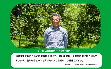 りんご サンふじ 秀 ～ 特秀 5kg 渡辺農園 沖縄県への配送不可 2024年12月上旬頃から2025年1月中旬頃まで順次発送予定 令和6年度収穫分 エコファーマー認定 減農薬栽培 長野県 飯綱町 