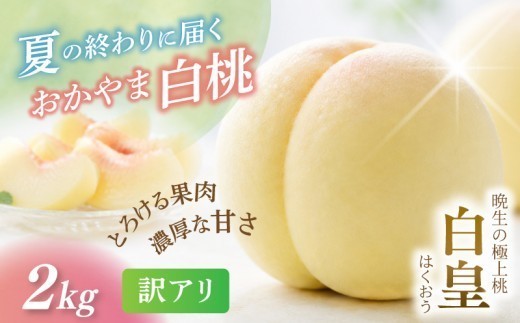 
                  【2026年先行予約】 岡山県産 白皇 2kg 訳アリ 白桃 はくおう 花田青果【8月中旬～9月初旬まで順次発送予定】｜ 岡山県 フルーツ もも 桃 モモ 人気 桃 もも 新鮮 旬 真庭市 果物 フルーツ もも 桃 ピーチ 贈答 ギフト 家庭用 期間限定 令和8年発送 もも 桃 モモ momo 桃 岡山 先行予約 白桃 桃 もも モモ 果物フルーツ 訳あり品 岡山県【hnds007】
                