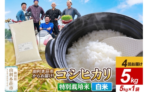 《定期便4ヶ月》令和7年産【白米】特別栽培米 コシヒカリ 5kg 秋田県産 [コシヒカリ 米 お米 こめ 白米 精米 ブランド米 特別栽培米 食卓 おにぎり 秋田県産 秋田]