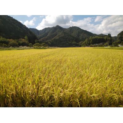 ふるさと納税 小林市 令和7年産新米【須木米】精米 5kg |  | 02