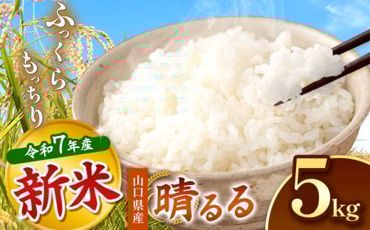 令和7年度産 新米 晴るる 白米 5kg 先行予約 ＜ 2025年11月～より順次発送予定 ＞ ｜ 米 精米 新米 白米 米 雑穀 お米 コメ 単一米 晴るる はるる  山口 美祢 秋吉台 5kg