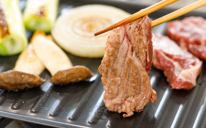 馬肉焼肉用500gカット済 / 馬肉 菊陽町 熊本県 焼肉用 馬肉 肉 niku おつまみ 九州 冷凍【有限会社 桜屋】 [BHDB008]