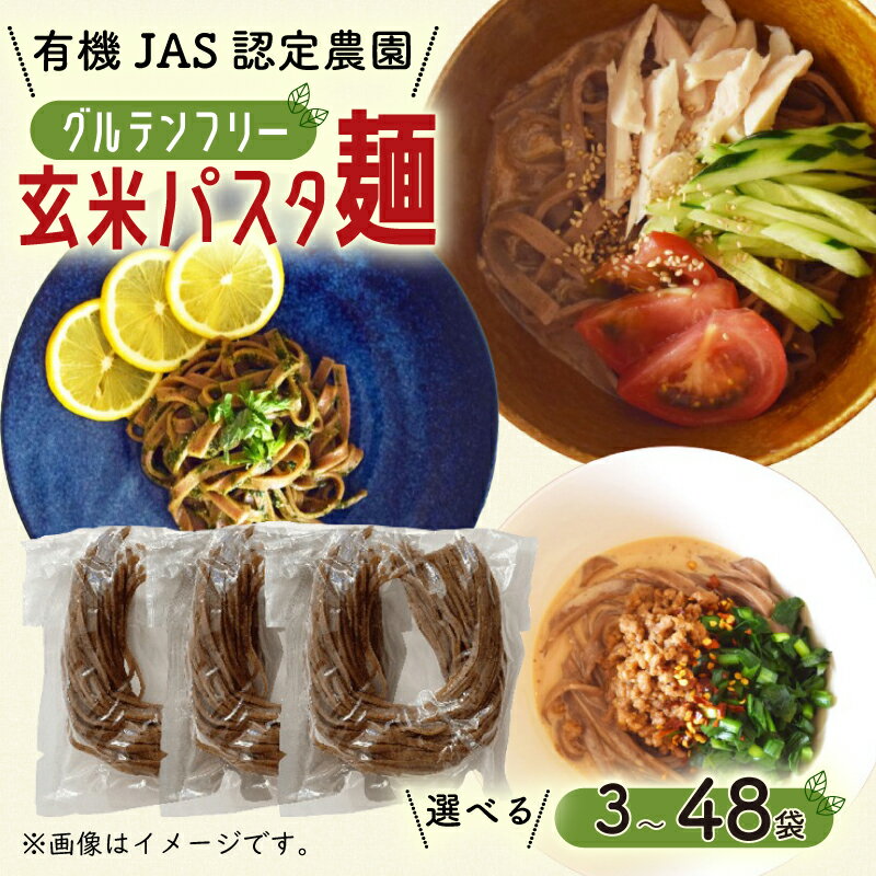 【ふるさと納税】 有機 グアバ 農園 グルテンフリー 玄米 パスタ 麺 100g 選べる 定期便 セット グルテン フリー ダイエット 健康 食品 健康 メン 人気 おすすめ 有機JAS認証 高知県 南国市