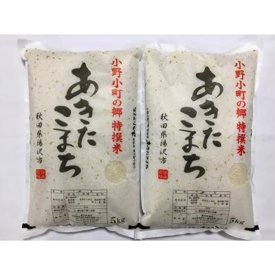 ふるさと納税 湯沢市 【令和7年産米】小野小町の郷特撰米あきたこまち　5kg×2袋[C2203]