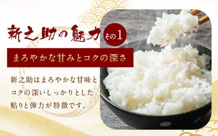 【令和7年産米】新潟県村上市 岩船産 新之助 5kg 1013002 