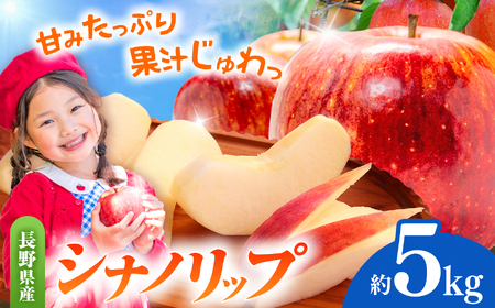 先行受付 シナノリップ（夏りんご）　5kg｜シナノリップ りんご 林檎 夏りんご 先行受付 甘い 果物 フルーツ【012-35】