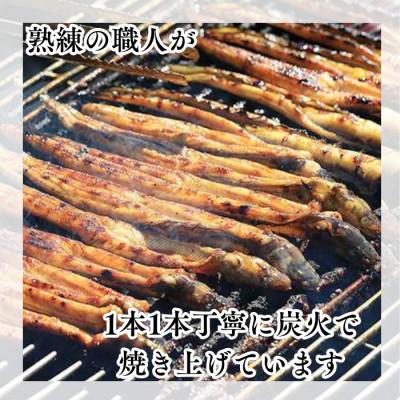 ふるさと納税 備前市 【訳あり】職人炭火焼き 穴子 (国産・韓国産) 特選ブレンド 6〜14本入(500g)タレ付き |  | 01