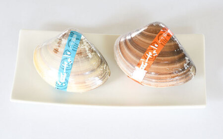 西八製菓 ニッキ貝 10個 安心 安全 懐かしい レトロなお菓子 大人買い 