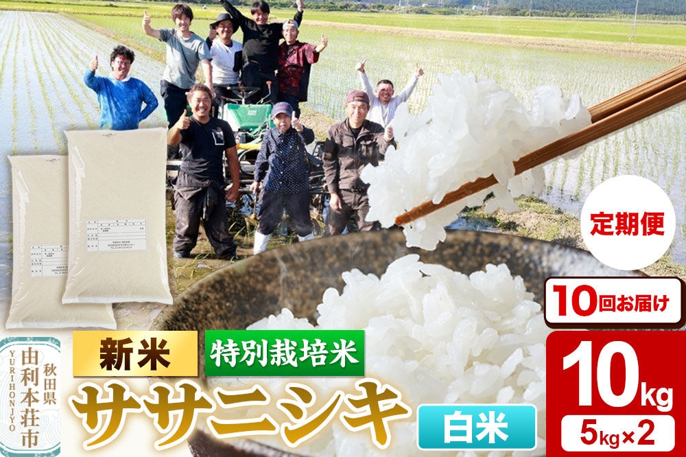 《令和8年産 新米》《定期便10ヶ月》【白米】特別栽培米 ササニシキ 10kg（5kg×2袋） 秋田県産 [ササニシキ 新米 米 お米 こめ 白米 精米 ブランド米 食卓 おにぎり 秋田県産 秋田]