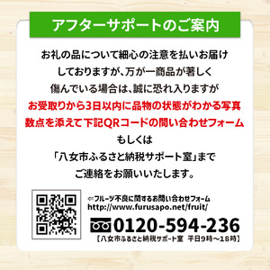 【2025年7月～8月発送予定】九州・福岡フルーツ王国八女から直送！巨峰［ぶどう］４パック（約1.2kg）＜配送不可：北海道・沖縄・離島＞ 072-006